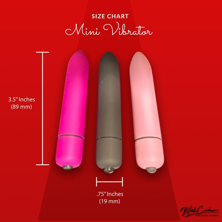 Bullet Battery Mini Vibrator